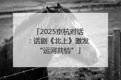 2025京杭对话：话剧《北上》激发“运河共情”